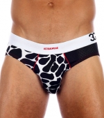3G Safari Brief
